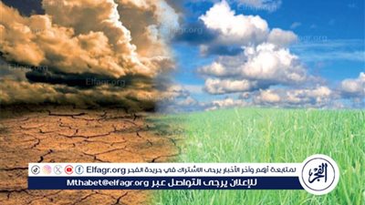 باولينو نيتو: مصر والبرازيل شريكان في مواجهة التغير المناخي 