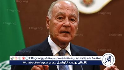 أحمد أبو الغيط: العالم العربي منقسم.. ومصر تواجه تحديات كبرى بعد 2011