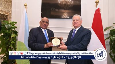 تفاصيل لقاء المستشار حنفي جبالي برئيس الجمعية الوطنية في جيبوتي