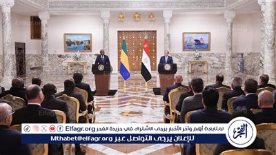 السيسي: اتفقت مع رئيس الجابون على زيادة معدلات التبادل التجارى بين البلدين (فيديو)