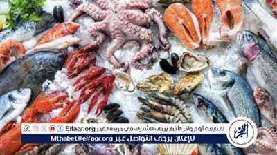 أسعار المأكولات البحرية والجمبري اليوم الاثنين 2-12-2024 في محافظة الدقهلية