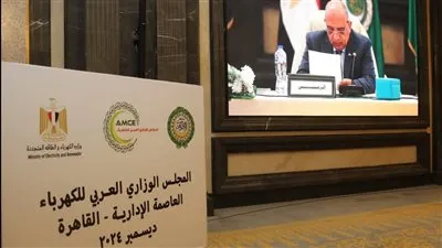 عصمت: الربط الكهربائي المصرى السعودى الأردنى نواة لسوق عربية مشتركة للكهرباء.