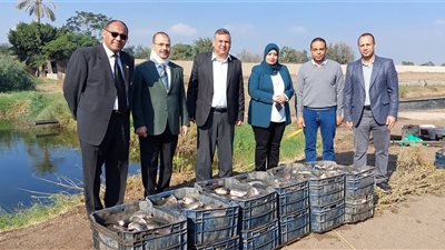 انطلاق موسم حصاد السمك البلطي بالمزارع السمكية المفتوحة بكلية الزراعة بمشتهر