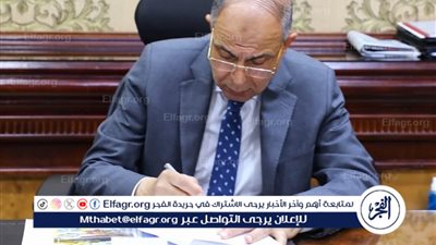 محافظ المنيا يسلم أجهزة كهربائية لـ 15 عروسًا دعمًا لتيسير الزواج