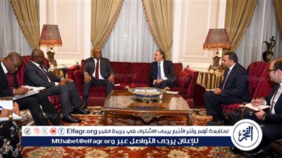 وزير الخارجية يستقبل رئيس البنك الأفريقي للتصدير والاستيراد (صور)