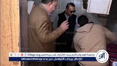  ضبط 11طن مخلل و95 صفيحة جبنة بها يرقات ديدان بالدقهلية