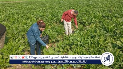 متابعة حالة الزراعات الشتوية في مركز أبشواي بالفيوم