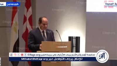 دبلوماسي: زيارة السيسي إلى كوبنهاجن نقطة تحول في العلاقات بين مصر والدنمارك