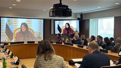 المشاط: التمويل من أجل التنمية أولوية للمجتمع الدولي لمواجهة التحديات