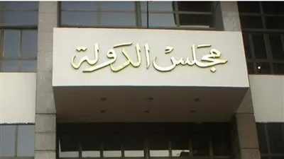 الدستورية: التمييز في توريد الكهرباء للمستهلكين في مقدار الضريبة المفروضة عليهم يخالف الدستور