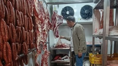 ضبط 10.6 طن مصنعات ومقطعات لحوم ودواجن غير صالحة للاستهلاك بالجيزة