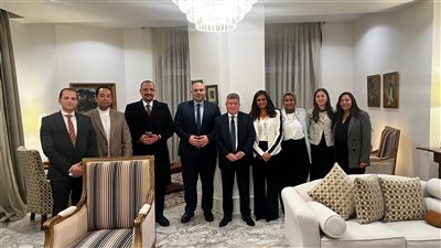 التضامن الاجتماعي تشارك في ورشة عمل تدريبية إقليمية حول 