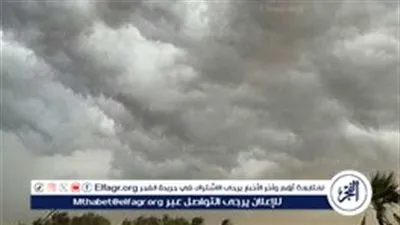 حالة الطقس اليوم الأحد 8 ديسمبر 2024: بارد ليلًا ومعتدل نهارًا مع شبورة مائية