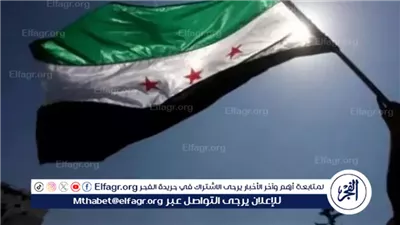 محلل سوري: ما حدث في سوريا غباء وليس خيانة