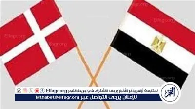 أهداف تأسيس مجلس الأعمال المصري الدنماركي.. خبير يوضح