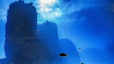 «ودائع ولقى أثرية من العصر البطلمي»… اكتشاف أثري جديد بالإسكندرية 