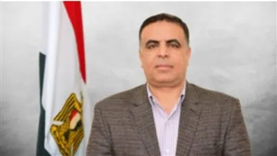 عشماوي مستشارًا لشئون الآثار المصرية بالمجلس الأعلى للآثار