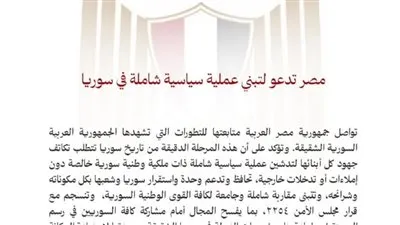 مصر تدعو لتبني عملية سياسية شاملة في سوريا