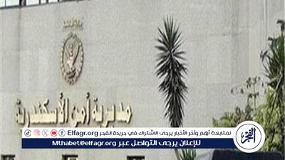 حملة أمنية موسعة بالإسكندرية تضبط حائزي المخدرات والأسلحة غير المرخصة بالدخيلة