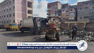 تكثيف جهود النظافة بحي العجمي لتحسين مستوى الخدمات المقدمة للمواطنين