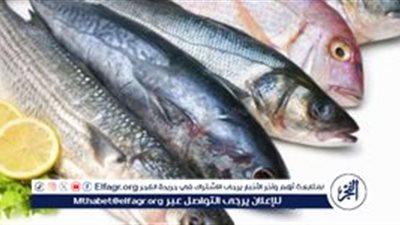 أسعار السمك اليوم الاربعاء 23-4-2025 في محافظة قنا