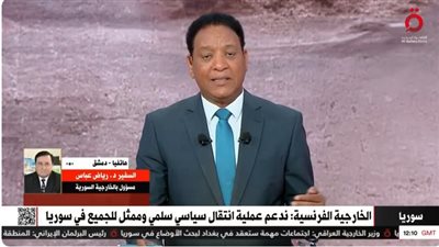 مسؤول بالخارجية السورية: الجميع يعمل لخدمة الوطن وتحقيق مصلحة الشعب (فيديو)