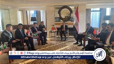 وزير الخارجية والهجرة يلتقي رئيس 