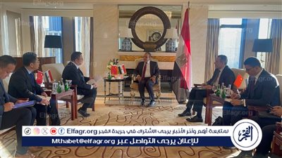 وزير الخارجية والهجرة يلتقي نائب رئيس شركة 