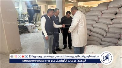 ضبط أكثر من طن منتجات لحوم ودقيق وأغذية متنوعة وتحرير 245 مخالفة  بالدقهلية