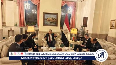 وزير الخارجية والهجرة يلتقي نائب رئيس شركة 