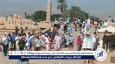 خبير: زيادة أعداد السائحين إلى مصر بفضل الأمن والأمان بها