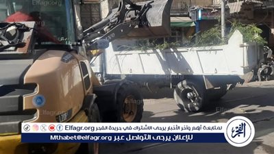 رفع 7 نقلات من المخلفات الصلبة بحي الجمرك في الإسكندرية 