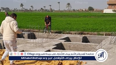 حملات مستمرة لحماية الرقعة الزراعية بالفيوم 