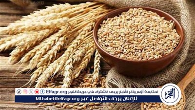 رسالة طمأنة من وزير الزراعة للفلاحين بشأن تحصيل أسعار توريد القمح هذا العام 