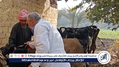 تحصين 152 ألف رأس ماشية على مدار شهر ضمن الحملة القومية ضد الحمى القلاعية وحمى الوادي المتصدع