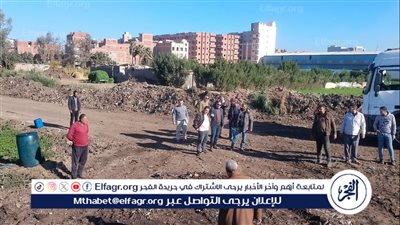 رفع 36 ألف طن مخلفات في إطار الاستعداد لإعلان الدقهلية بلا مقالب عشوائية خلال أيام 
