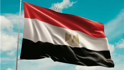 إدانة مصر لحادث دهس نيو أورليانز المأساوي بالولايات المتحدة