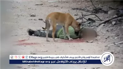  عاجل- جريمة بلا إنسانية.. تقارير تكشف كيف تترك جثث الفلسطينيين فريسة للكلاب بيد الاحتلال ( تفاصيل)