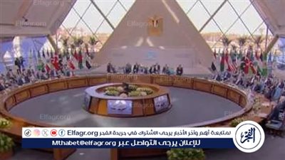عاجل - جهود مصر لتفعيل أطر التعاون بين أعضاء منظمة الدول الثماني النامية 