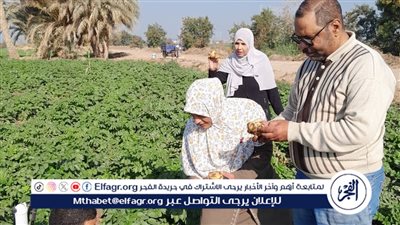 الزراعة: متابعة ميدانية لمحاصيل الشتاء بالفيوم لضمان الإنتاجية والأمن الغذائي
