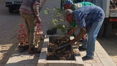 صور.. زراعة 2000 شتلة ضمن المبادرة الرئاسية 100 مليون شجرة بالأقصر