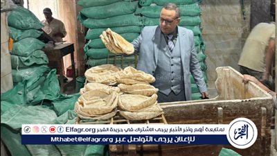 ضبط أكثر من 2 طن سلع ومواد غذائية متنوعة وتحرير 226 محضر في حملات تموينية بالدقهلية