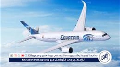 تبحث عن وظيفة؟ تعرف على الوظائف المطلوبة في قطاع شركة مصر للطيران