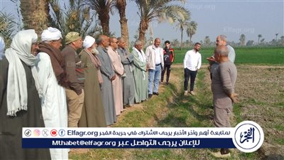 مشروع ترشيد استهلاك المياه في الأنشطة الزراعية بالفيوم 