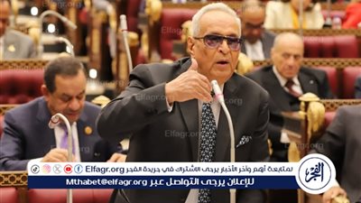 وكيل الشيوخ: الثقافة حق لكل مواطن تكفله الدولة وتلتزم بدعمه