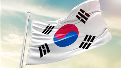 احتجاجات كوريا الجنوبية.. بين السخرية والحيوانات الأليفة في مواجهة الأحكام العرفية