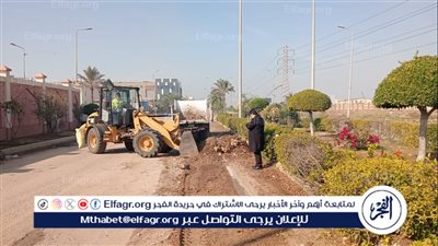 رفع 350 طن مخلفات بلدية وأتربة وناتج تقليم أشجار بالمنطقة الصناعية 