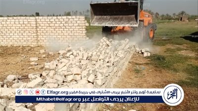 إزالة لـ 23 حالة تعدٍّ علي الأراضي الزراعية في الإسماعيلية 