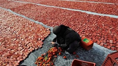 غدا.. انطلاق فعاليات ملتقى التسويق الأول للخضر والفاكهة المجففة «ميركادو» بالأقصر