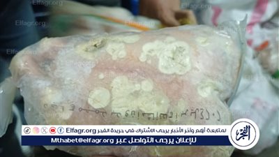 حملة تموينية تضبط دواجن ولحوم فاسدة في أسواق الإسكندرية 